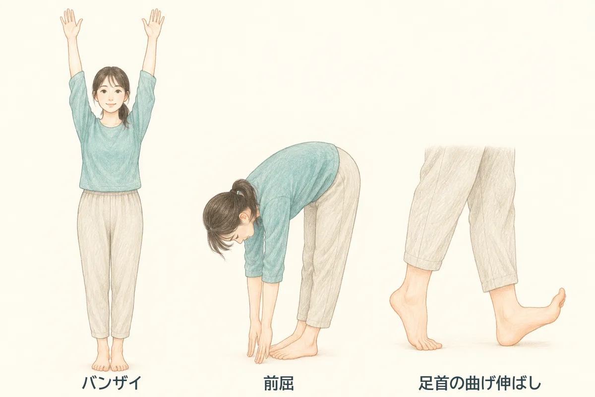 検査で見る動きの例。バンザイ、前屈、足首の曲げ伸ばし
